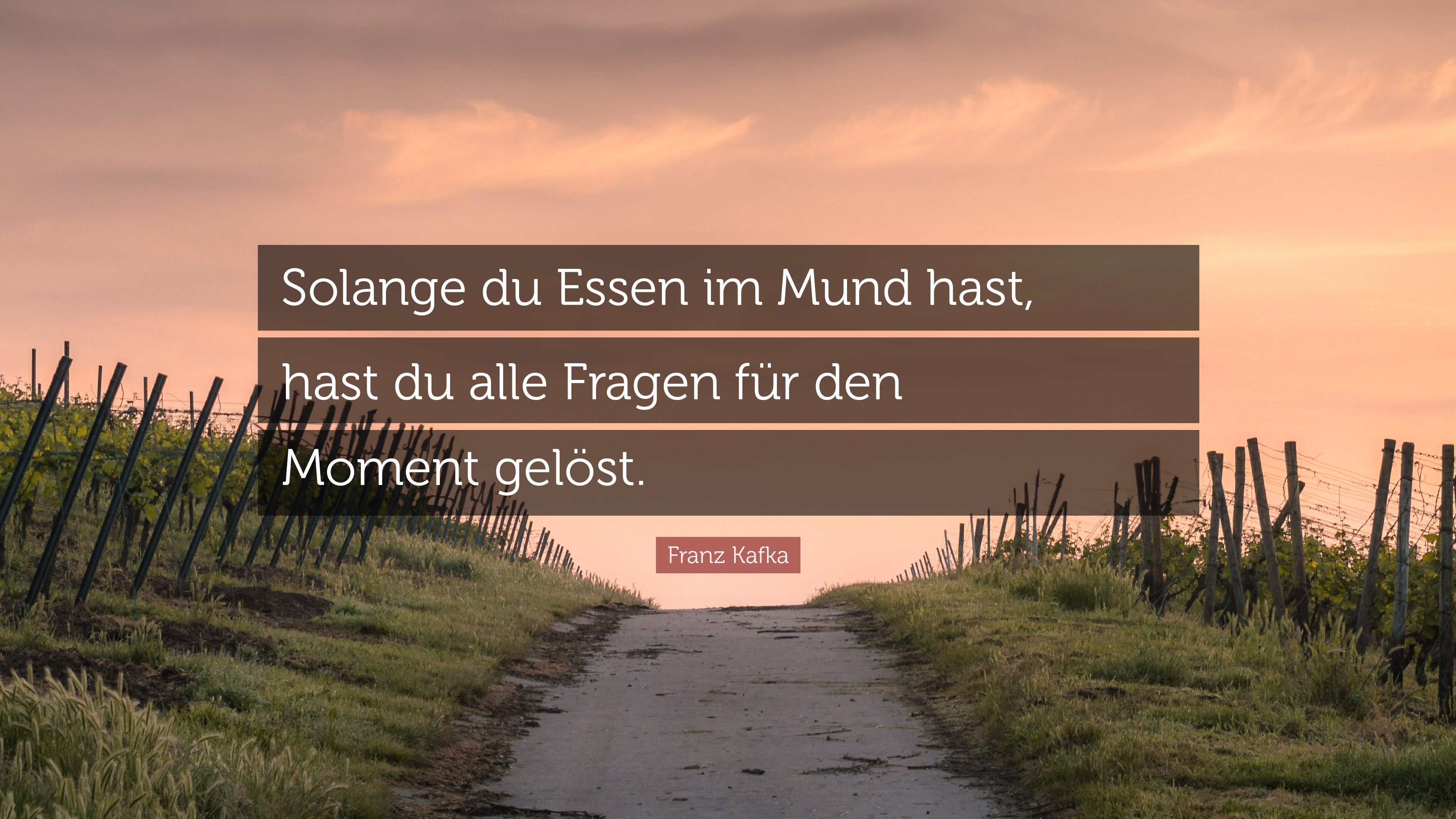 Zitat: Solange du Essen im Mund hast, hast du alle Fragen für den Moment gelöst