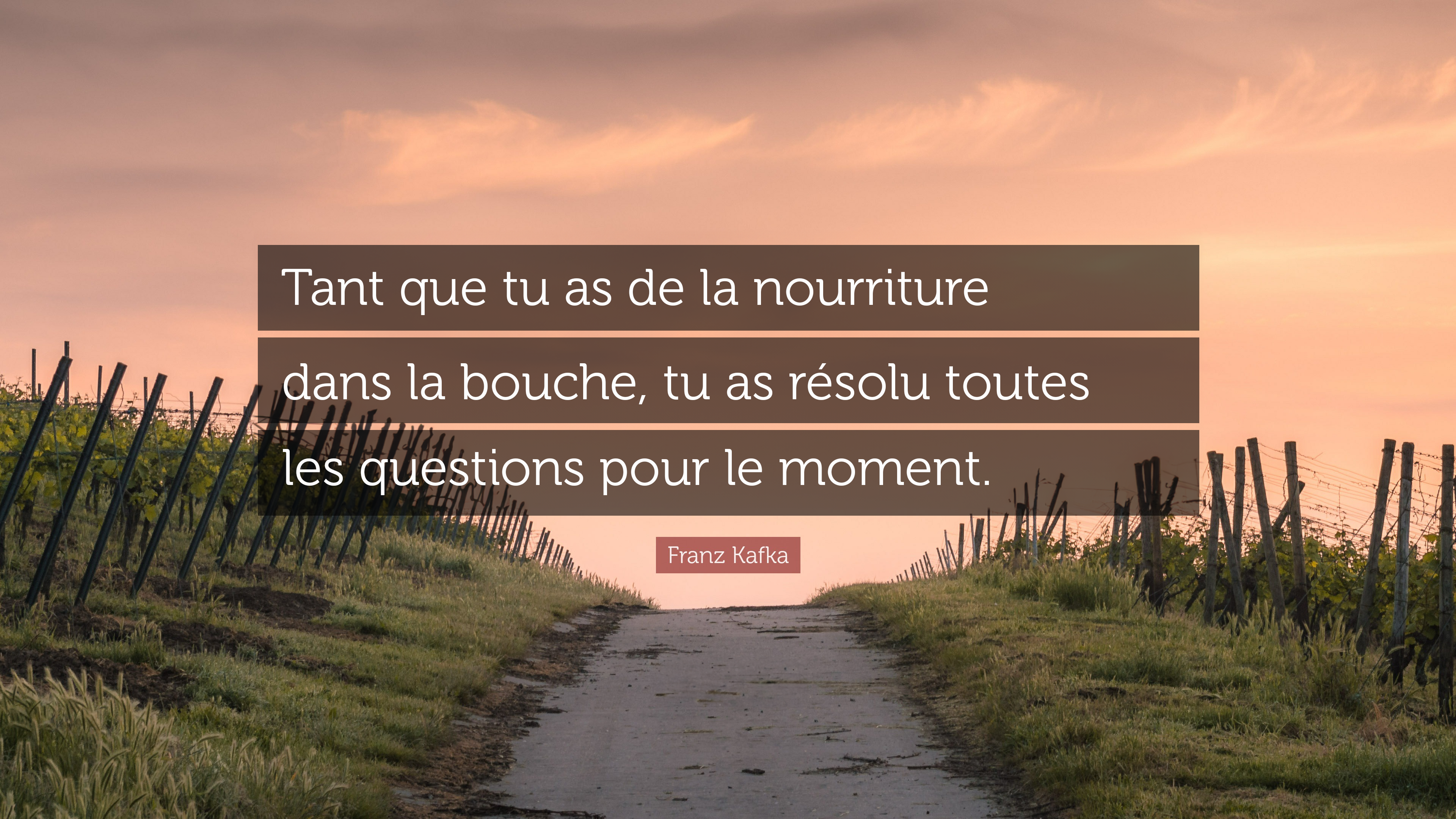 Citation tant que vous avez de la nourriture dans la bouche, vous avez résolu toutes les questions pour l'instant